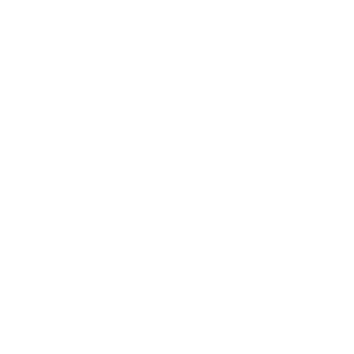 Spotify Icon